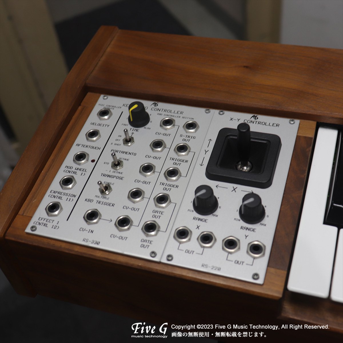 Analogue Systems | RS-8500 + Double Sequencer + Demon | 中古 