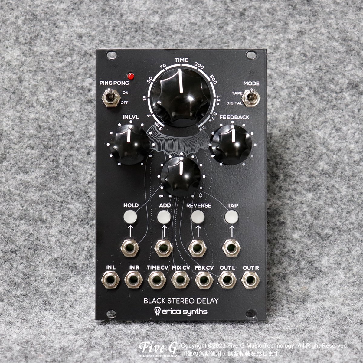 Erica Synths | Black Stereo Delay | 中古 - Used - モジュラーシンセ