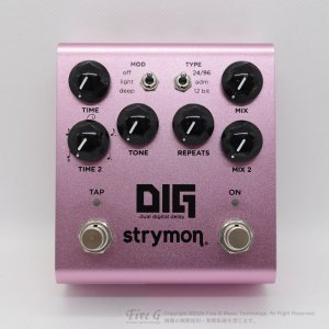 strymon | DIG V2š<img class='new_mark_img2' src='https://img.shop-pro.jp/img/new/icons7.gif' style='border:none;display:inline;margin:0px;padding:0px;width:auto;' />