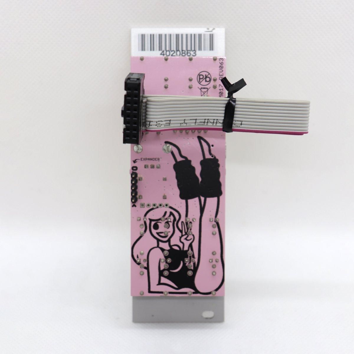 ALM Busy Pamela's New Workout モジュラーシンセ ALM Busy Circuits Pamela's NEW Workout - Eurorack Module on