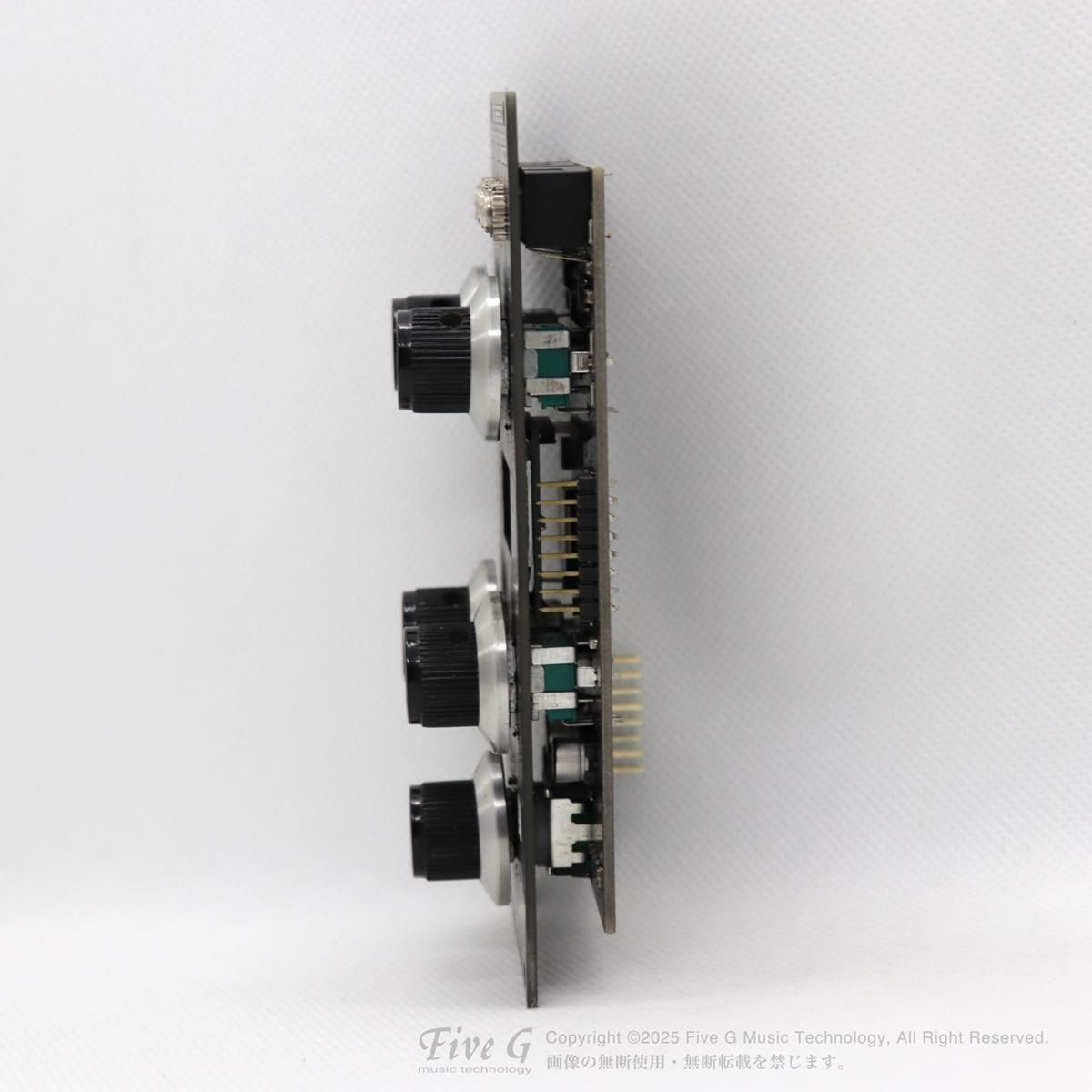FLAME Echometer デジタルエコー モジュラーシンセ Noise Engineering | Electus Versio | - モジュラーシンセ