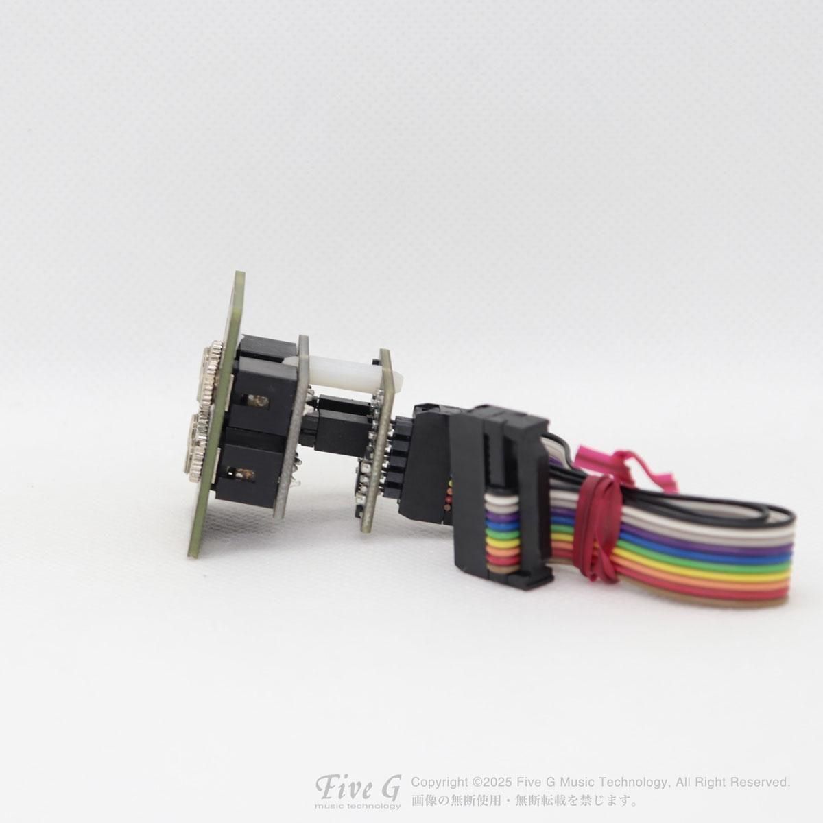 Ritual Electronics | Krach | 中古 - Used - モジュラーシンセ