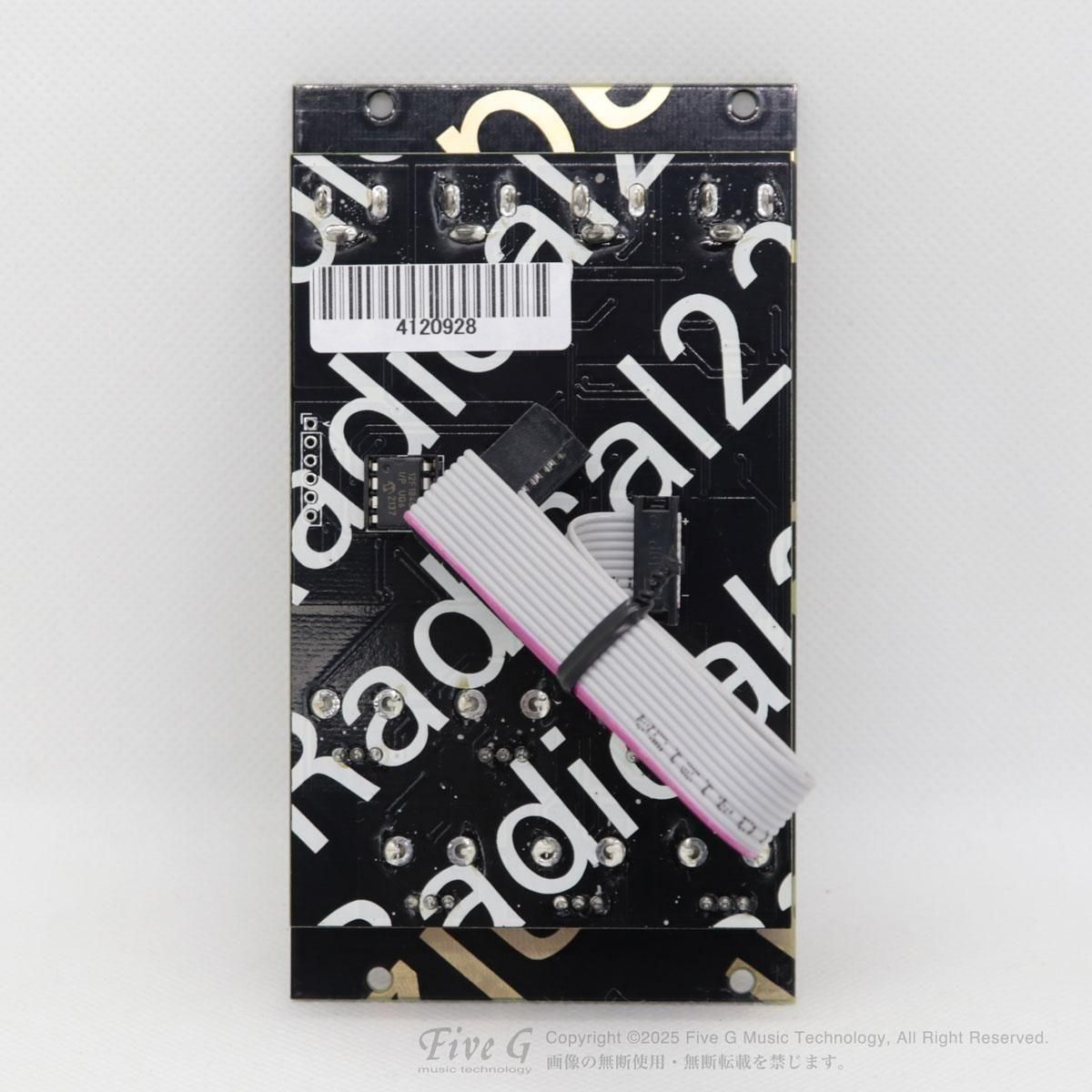 Dirty Electronics | Radical22 | 中古 - Used - モジュラー