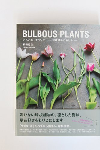 BULBOUS PLANTS 124945881