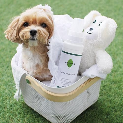 界面活性剤不使用！WAFONA(ワフォナ) 洗濯用洗剤4000ml