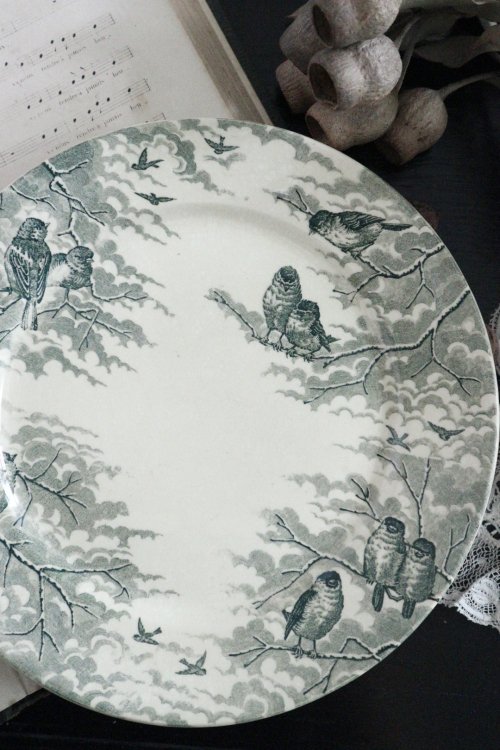 フランスのお皿 アンティークプレート | サルグミンヌ - antiques ruan