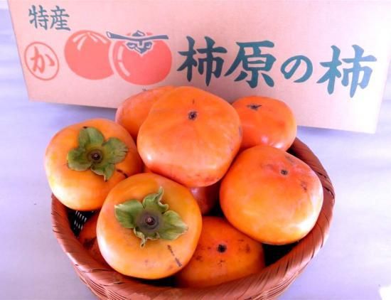 格安　カトラン〔柿のある静物〕額外面 60㎝×80㎝（絵の大きさ） 格安カトラン〔柿のある静物〕額外面 60㎝×80㎝（絵の大きさ）
