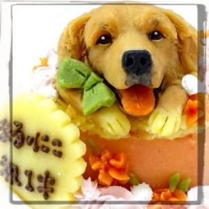 わんこの似顔絵ケーキの店 la_queue ラ・キュ