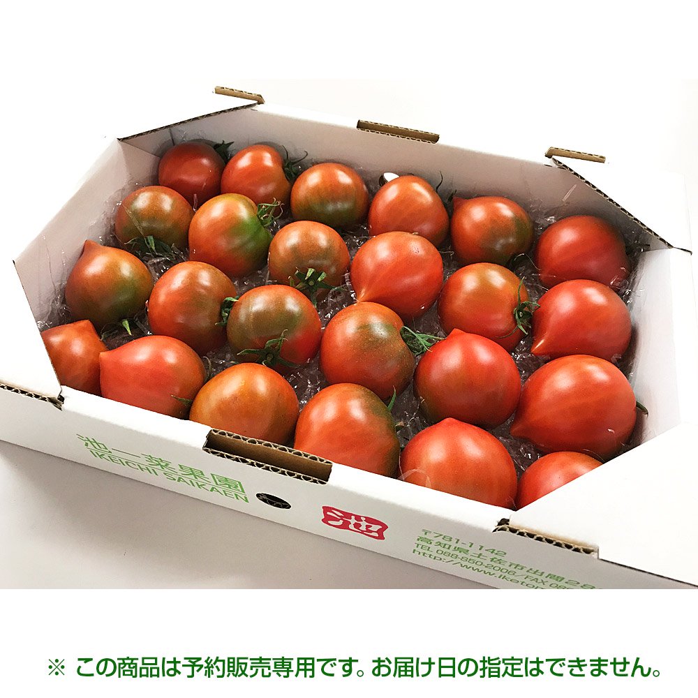 4月発送分】予約販売専用サンハート1kg - 池トマト公式オンライン