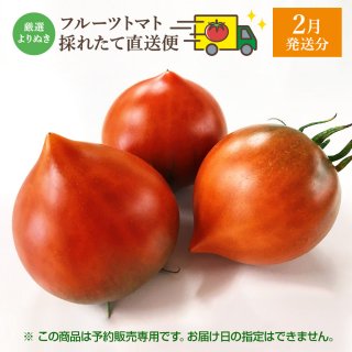 トマト 商品一覧｜池トマト公式オンラインショップ