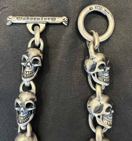Single Skull With All Skull Links Necklace [N-181