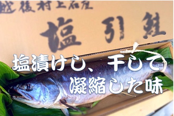 村上の塩引鮭（10切） - 築地【昭和食品】天然鮭・サーモン専門店の