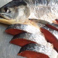 北海道加工高級紅鮭（10切）