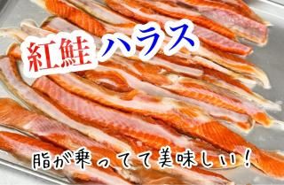 Ⱥϥ饹̵źá