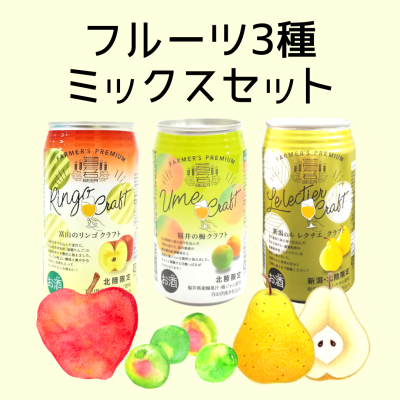 【リンゴ・梅・洋梨】北陸のフルーツビール３種12缶セット