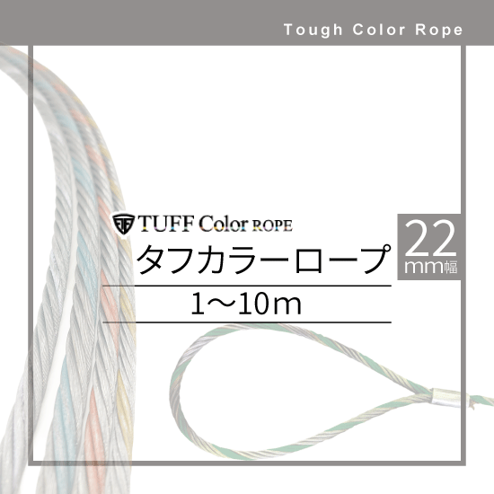 ���ե��顼�����ס����å�(carrot)�ù��ʡ��磻�䡼��22mm