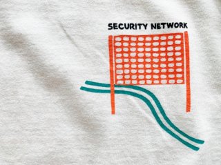 SECURITY NETWORK(BROKEN)