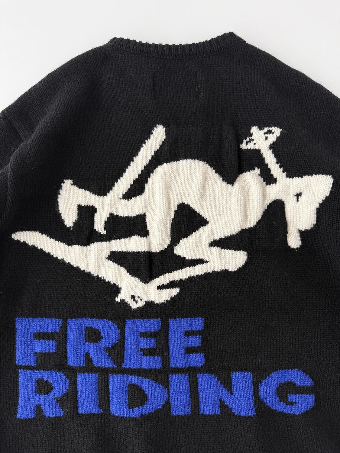 <img class='new_mark_img1' src='https://img.shop-pro.jp/img/new/icons1.gif' style='border:none;display:inline;margin:0px;padding:0px;width:auto;' />FREERIDING SWEATER