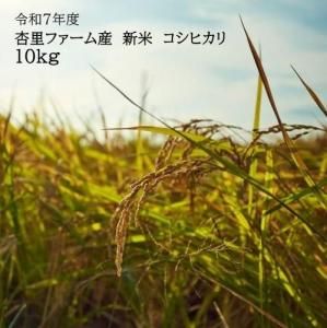 ھﲹ̵ۡۡڿ̸ۡ7ǯ۰ΤեΥҥ10
