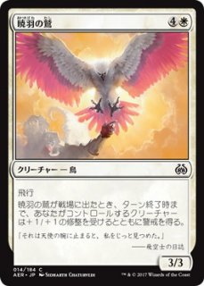 暁羽の鷲/Dawnfeather Eagle