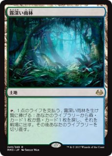 ̸/Misty Rainforest