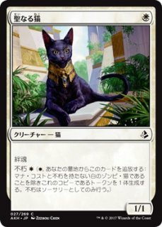 聖なる猫/Sacred Cat