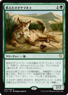 飢えたオオヤマネコ/Hungry Lynx