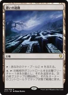 �Ǥ�����ϩ/Mystifying Maze