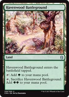 �إ����󥦥åɤθ����/Havenwood Battleground
