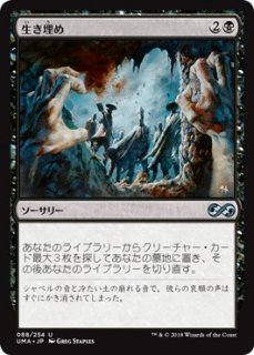 マスターズ・シリーズ - マジック：ザ・ギャザリング（MTG）の通販専門