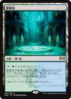 血の墓所/Blood Crypt - マジック：ザ・ギャザリング（MTG）の通販専門