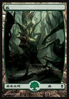 □基本土地□ - マジック：ザ・ギャザリング（MTG）の通販専門店