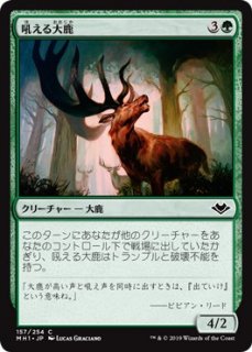 㤨缯/Bellowing Elk