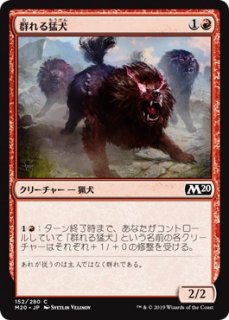 Ը/Pack Mastiff