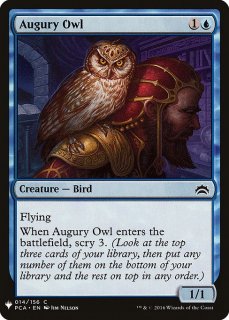 ꤤե/Augury Owl
