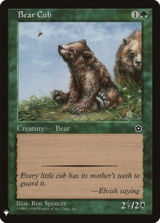 Ʒ/Bear Cub