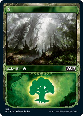 森/Forest - マジック：ザ・ギャザリング（MTG）の通販専門店　「 MTG Guild 」