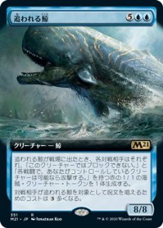 追われる鯨/Pursued Whale