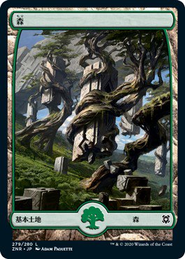 森/Forest - マジック：ザ・ギャザリング（MTG）の通販専門店　「 MTG Guild 」