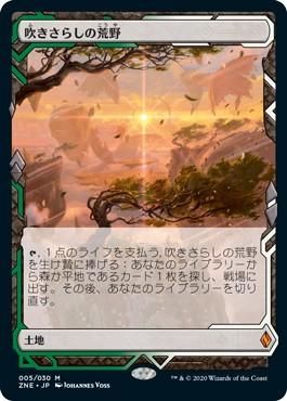 mtg マジックザギャザリング 日本語 吹きさらしの荒野 2枚 63%OFF is