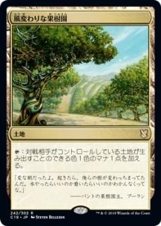���Ѥ��ʲ̼���/Exotic Orchard