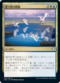 �Ϥ�Ļ�η�ϩ/Migratory Route