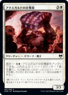 カルドハイム - マジック：ザ・ギャザリング（MTG）の通販専門店