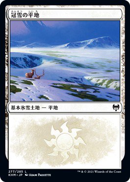 冠雪の平地/Snow-Covered Plains - マジック：ザ・ギャザリング（MTG