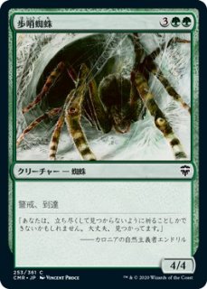 ⾥/Sentinel Spider