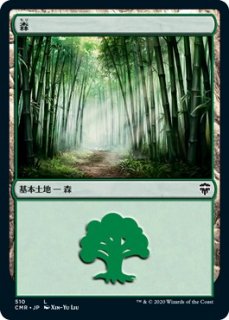 /Forest