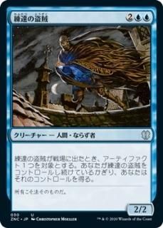 ��ã����±/Master Thief