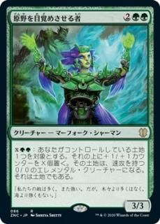 ������ܳФᤵ�����/Waker of the Wilds