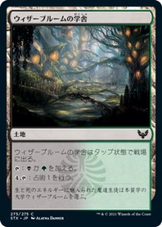 ストリクスヘイヴン：魔法学院 - マジック：ザ・ギャザリング（MTG）の