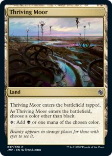 興隆する湿地帯/Thriving Moor